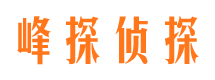 正蓝旗市婚姻调查